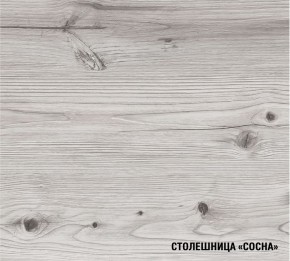 АСАЯ Кухонный гарнитур Экстра 2 (3000 мм) ПМ в Снежинске - snezhinsk.ok-mebel.com | фото 8