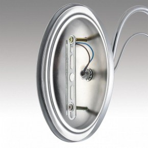 Бра Lumion INCANTO 8034/1W в Снежинске - snezhinsk.ok-mebel.com | фото 7
