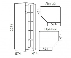 Детская Фанк Шкаф угловой Левый/Правый НМ 013.04-02 М в Снежинске - snezhinsk.ok-mebel.com | фото 3