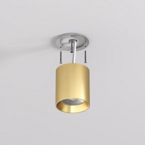 DK2610-SB Накладной светильник SHINE TUBE со светодиодом, D70*H80, IP20, 3000К, 10W, RA?90, сатинированная латунь, алюминий в Снежинске - snezhinsk.ok-mebel.com | фото 3