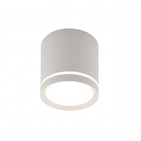 DK4013-WH Светильник накладной IP 20, 5 Вт, LED 4000, белый, алюминий/акрил в Снежинске - snezhinsk.ok-mebel.com | фото