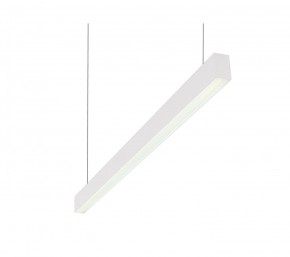 DK9124-WH Линейный светильник 30W 1250mm 4000K, белый в Снежинске - snezhinsk.ok-mebel.com | фото