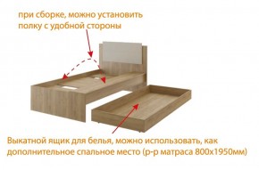 Дуглас (подростковая) М14 Кровать в Снежинске - snezhinsk.ok-mebel.com | фото 5