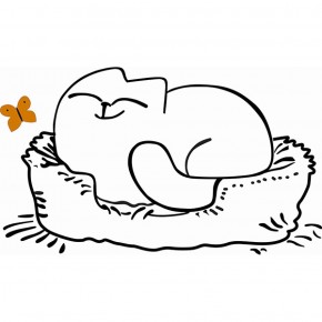 Кровать двухуровневая Кот № 900.1 ЛЕВАЯ (туя светлая/белый) в Снежинске - snezhinsk.ok-mebel.com | фото 2
