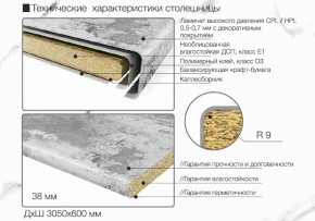 Кухонный фартук со столешницей (А-01) в едином стиле (3050 мм) в Снежинске - snezhinsk.ok-mebel.com | фото 6