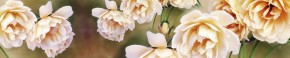 Кухонный фартук Цветы 066 МДФ матовый (3000) Flowers в Снежинске - snezhinsk.ok-mebel.com | фото 1
