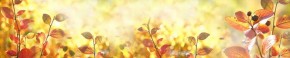 Кухонный фартук Цветы 318 МДФ матовый (3000) Flowers в Снежинске - snezhinsk.ok-mebel.com | фото 1