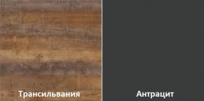 Кухонный гарнитур угловой Трансильвания 2400x1600 мм (Стол. 38 мм) в Снежинске - snezhinsk.ok-mebel.com | фото 3