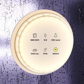 Лента светодиодная Maytoni Led strip 10117 в Снежинске - snezhinsk.ok-mebel.com | фото 2