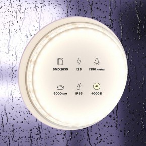 Лента светодиодная Maytoni Led strip 10118 в Снежинске - snezhinsk.ok-mebel.com | фото 2