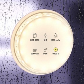 Лента светодиодная Maytoni Led strip 10131 в Снежинске - snezhinsk.ok-mebel.com | фото 2