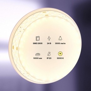 Лента светодиодная Maytoni Led strip 20031 в Снежинске - snezhinsk.ok-mebel.com | фото 2