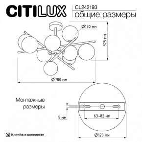 Люстра на штанге Citilux Ronny CL242193 в Снежинске - snezhinsk.ok-mebel.com | фото 8
