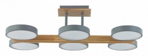 Люстра на штанге Lumion Plato 8031/108CL в Снежинске - snezhinsk.ok-mebel.com | фото