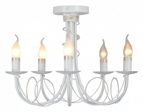 Люстра на штанге Vitaluce V3035 V3035-0/5PL в Снежинске - snezhinsk.ok-mebel.com | фото 2