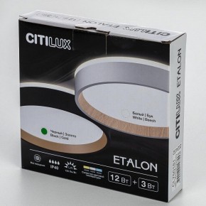 Накладной светильник Citilux Etalon CL750181 в Снежинске - snezhinsk.ok-mebel.com | фото 13