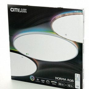 Накладной светильник Citilux NORMA CL749600 в Снежинске - snezhinsk.ok-mebel.com | фото 8