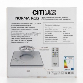 Накладной светильник Citilux Norma CL749K301 в Снежинске - snezhinsk.ok-mebel.com | фото 10