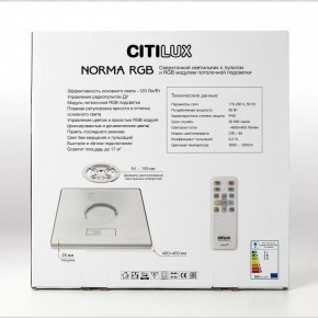 Накладной светильник Citilux Norma CL749K400 в Снежинске - snezhinsk.ok-mebel.com | фото 17