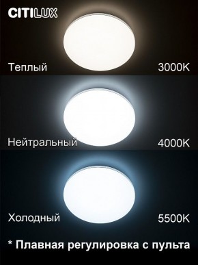 Накладной светильник Citilux Симпла CL714330G в Снежинске - snezhinsk.ok-mebel.com | фото 4