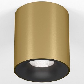 Накладной светильник Elektrostandard Primo 25116/LED в Снежинске - snezhinsk.ok-mebel.com | фото 2