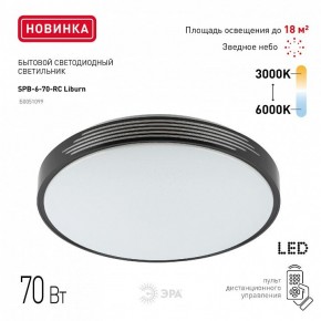 Накладной светильник Эра Классик SPB-6-70-RC Liburn в Снежинске - snezhinsk.ok-mebel.com | фото 10