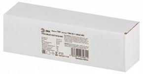 Накладной светильник Эра  TRM-S5-1-6W4K-WH в Снежинске - snezhinsk.ok-mebel.com | фото 6