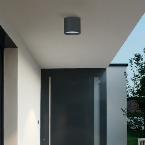 Накладной светильник Favourite Fantum 4663-1U в Снежинске - snezhinsk.ok-mebel.com | фото 3