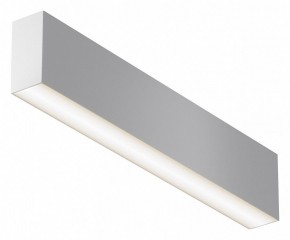 Накладной светильник Maytoni Basis C068CL-20W3-6K-W в Снежинске - snezhinsk.ok-mebel.com | фото