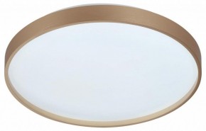 Накладной светильник Sonex Gaby 7783/DL в Снежинске - snezhinsk.ok-mebel.com | фото 4