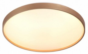 Накладной светильник Sonex Gaby 7783/EL в Снежинске - snezhinsk.ok-mebel.com | фото 5