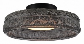 Накладной светильник ST-Luce ANTIKE SL6143.412.01 в Снежинске - snezhinsk.ok-mebel.com | фото 2