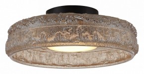 Накладной светильник ST-Luce ANTIKE SL6143.422.01 в Снежинске - snezhinsk.ok-mebel.com | фото 3