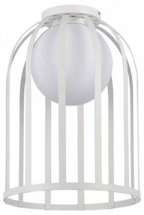 Накладной светильник ST-Luce Nordic SL6129.502.01 в Снежинске - snezhinsk.ok-mebel.com | фото