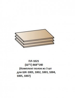 ПЛ-1021 (Комплект полок из 3 шт для ШК-1001, 1002, 1003, 1004, 1005, 1007) в Снежинске - snezhinsk.ok-mebel.com | фото