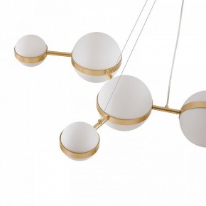 Подвесная люстра Favourite Asterismo 4448-8P в Снежинске - snezhinsk.ok-mebel.com | фото 7