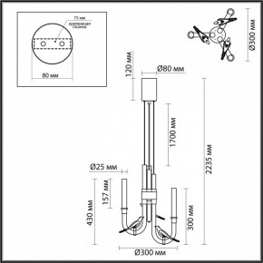 Подвесная люстра Odeon Light Lark 5431/6L в Снежинске - snezhinsk.ok-mebel.com | фото 5