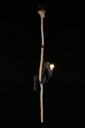 Подвесной светильник Aployt Magali APL.309.16.01 в Снежинске - snezhinsk.ok-mebel.com | фото 3