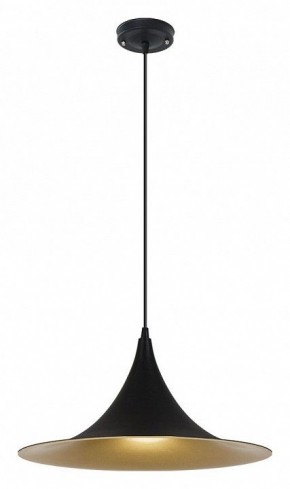 Подвесной светильник Arte Lamp Carmel A7080SP-1BK в Снежинске - snezhinsk.ok-mebel.com | фото 2