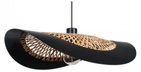 Подвесной светильник Arte Lamp Woodstock A7059SP-1BK в Снежинске - snezhinsk.ok-mebel.com | фото