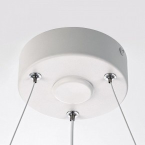 Подвесной светильник Citilux Trio CL215B050 в Снежинске - snezhinsk.ok-mebel.com | фото 10