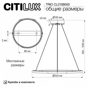 Подвесной светильник Citilux Trio CL215B050 в Снежинске - snezhinsk.ok-mebel.com | фото 9