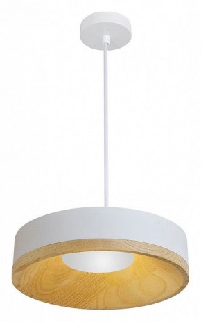 Подвесной светильник Divinare Vaso 5119/33 SP-8 в Снежинске - snezhinsk.ok-mebel.com | фото 2