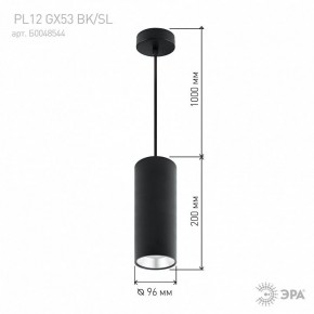 Подвесной светильник Эра  PL12 GX53 BK/SL в Снежинске - snezhinsk.ok-mebel.com | фото 8