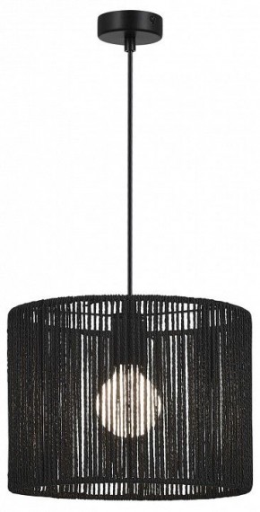 Подвесной светильник EVOLUCE ETTAN SLE6024-403-01 в Снежинске - snezhinsk.ok-mebel.com | фото 2