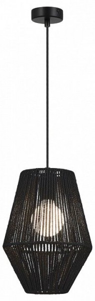Подвесной светильник EVOLUCE ETTAN SLE6025-413-01 в Снежинске - snezhinsk.ok-mebel.com | фото 2