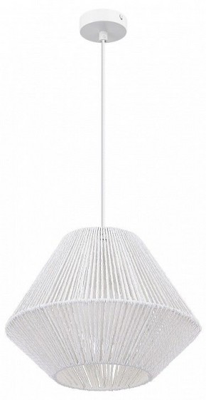 Подвесной светильник EVOLUCE ETTAN SLE6025-503-01 в Снежинске - snezhinsk.ok-mebel.com | фото 3