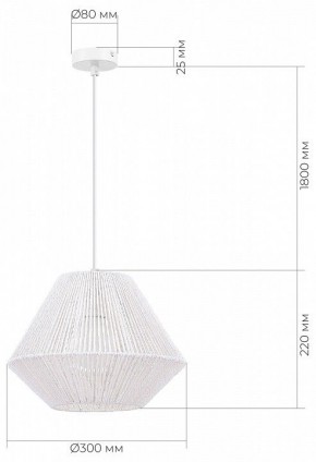 Подвесной светильник EVOLUCE ETTAN SLE6025-503-01 в Снежинске - snezhinsk.ok-mebel.com | фото 6