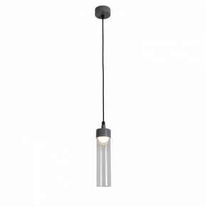 Подвесной светильник Favourite Outdoor 4703-1P в Снежинске - snezhinsk.ok-mebel.com | фото 3