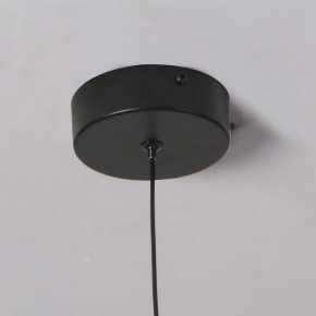 Подвесной светильник Favourite Wilet 4656-1P в Снежинске - snezhinsk.ok-mebel.com | фото 10